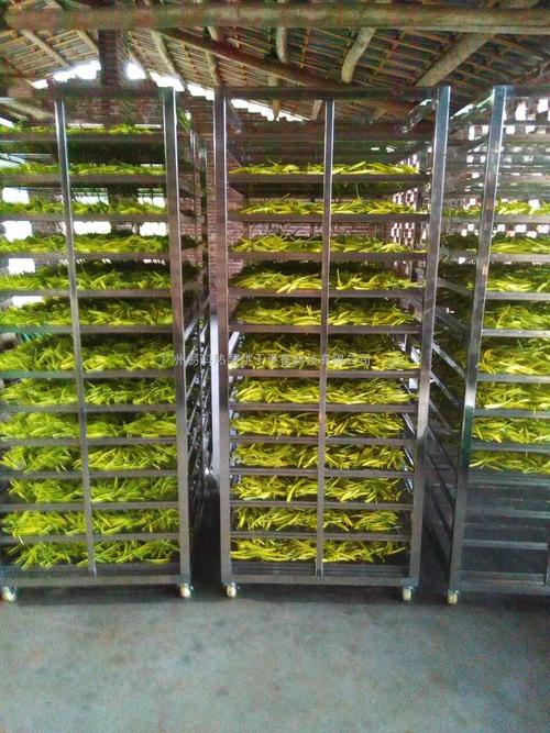 黃花菜烘干機(jī)、黃花菜烘干設(shè)備、黃花菜干燥機(jī)、黃花菜干燥設(shè)備、